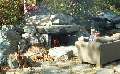 Fireplaces and Firepits